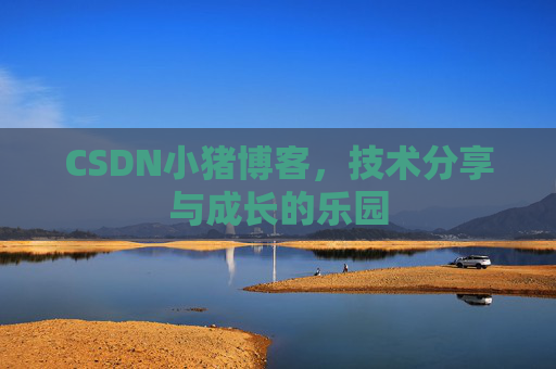 CSDN小猪博客,技术分享与成长的乐园